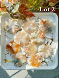 2 Lots Flower agate flower 70% OFF